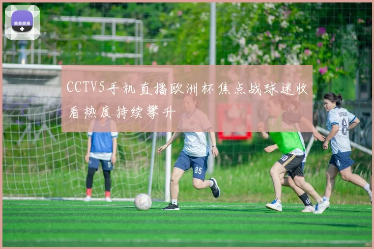 CCTV5手机直播欧洲杯焦点战球迷收看热度持续攀升