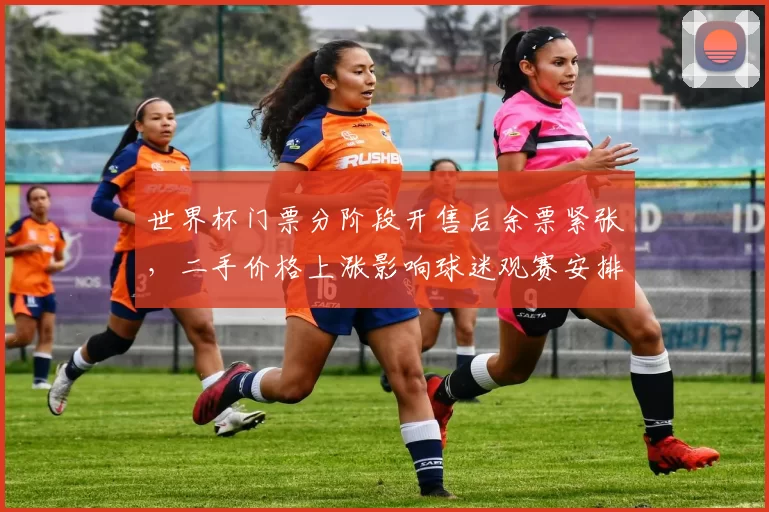 世界杯门票分阶段开售后余票紧张，二手价格上涨影响球迷观赛安排